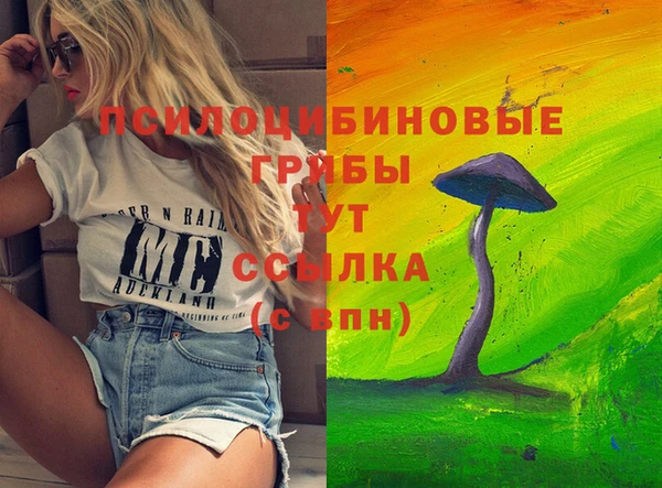 меф Бородино